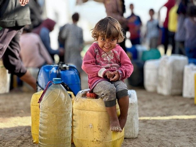 IMAGE 2026-01-29 14:49:26 Medium